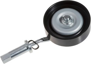 هرزگرد دینام اصلی ماکسیما