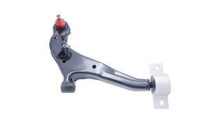 طبق اصلی ماکسیما چپ FUJI