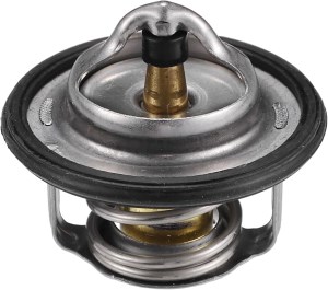 ترموستات کوچک اصلی ماکسیما